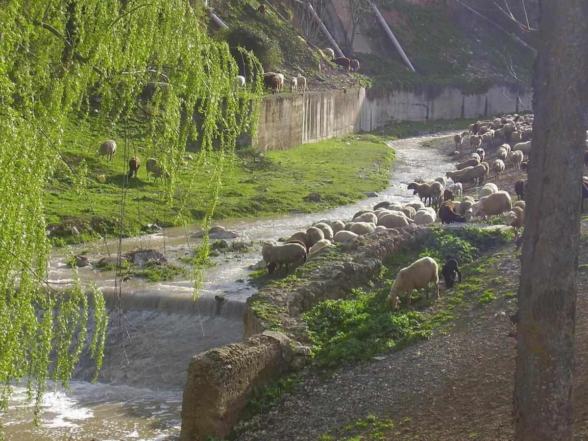 Alojamiento El Cortijuelo Villa Escoznar Luaran gambar