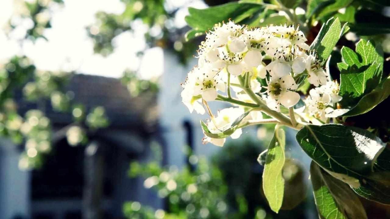 Alojamiento El Cortijuelo Villa Escoznar Luaran gambar